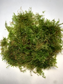 Picture for category PLANTS SOLD BY WEIGHT